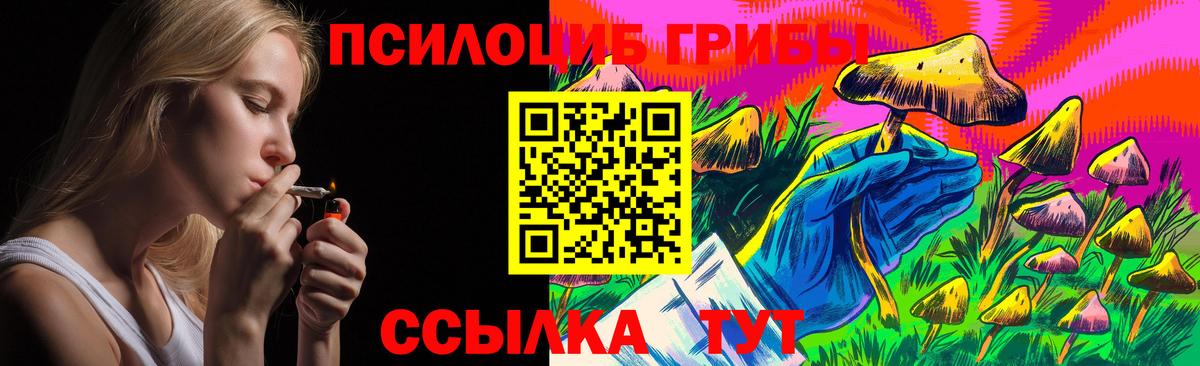 Галлюциногенные грибы Magic Shrooms  Вход с VPN  Тара  Галлюциногенные грибы Psilocybe 