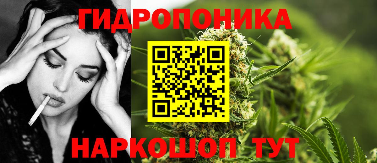 Тара  Бошки марихуана Bruce Banner  Каннабис тримм  Вход с VPN 